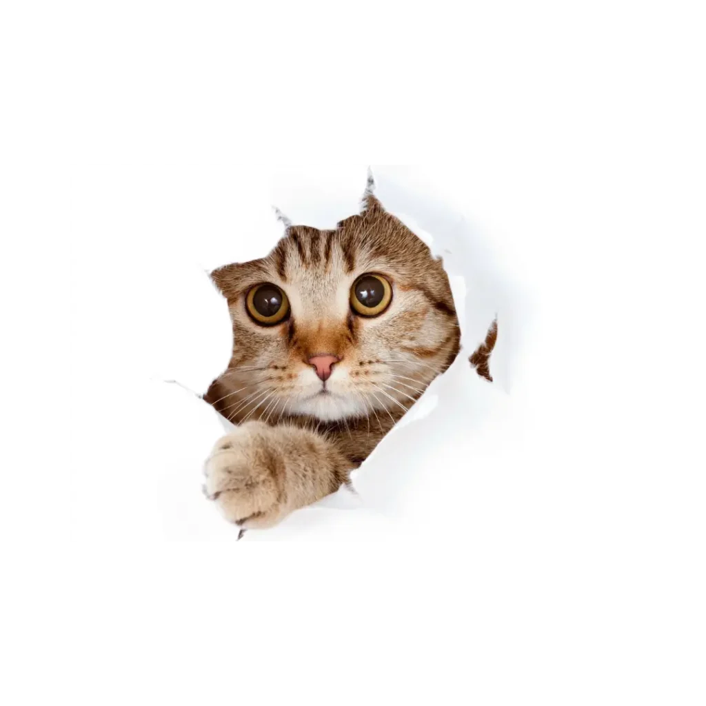 veterinaria chiclayo 24 horas