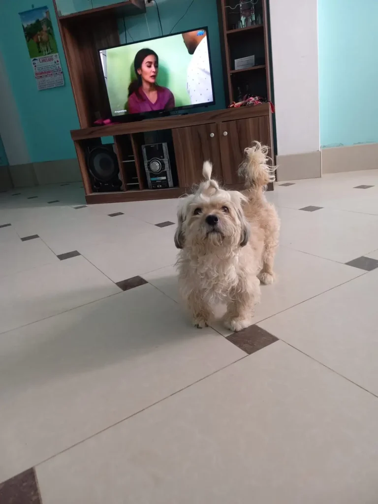 foto de uno de nuestros clientes